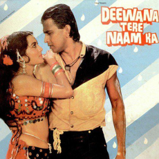 Haseen Hum Jawan Tum Deewana Tere Naam Ka Haseen Hum Jawan Tum Deewana Tere Naam Ka